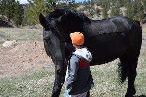 Teens can benefit from Equine assisted therapy | horse and youth