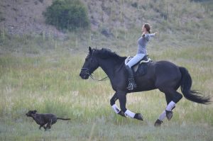 Overcoming the fear of riding demonstration