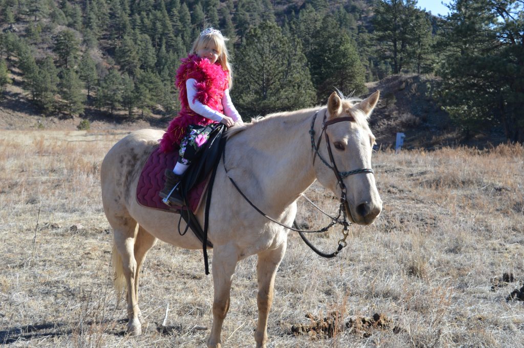 Equine Assisted Psychotherapy (EAP) is a therapeutic model that utilizes horses as part of the therapy team