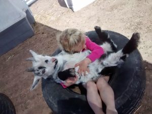 Animal Assisted Therapy (AAT) | structured therapeutic intervention | Child with goat