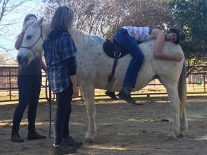 The Equilateral Model or Equine Assisted EMDR is an innovative integration of Equine Assisted Psychotherapy (EAP) and EMDR | evidenced-based treatment model for trauma