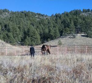 EAP provides an opportunity to be outside and get connected to nature, which has many health benefits.